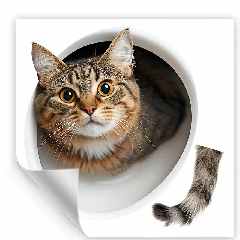prod_6ad9612bc07988.31229223.webp