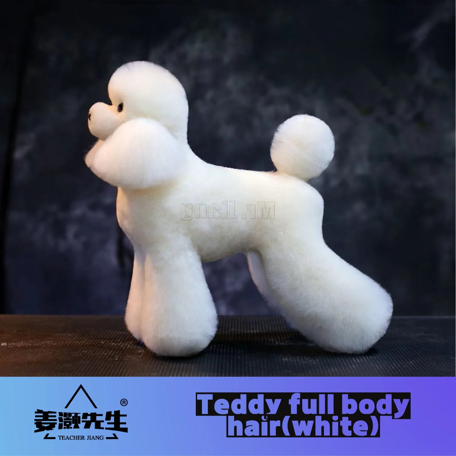 Mr. Jiang Teddy Pet Teacher Fake Hair( wig only  no modle) Whole Body Dog Model Beauty Modeling Practice