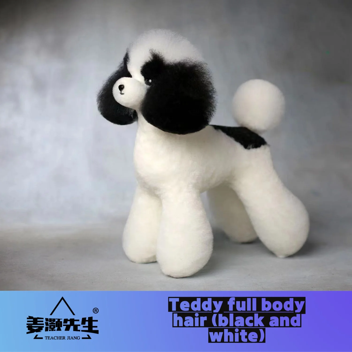 Mr. Jiang Teddy huagui ( wig only  no modle) Pet Teacher Beauty Modeling Practice Dog Model  Whole Body Fake Hair