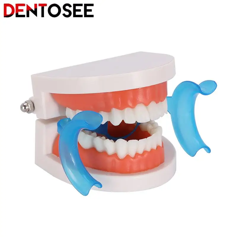 10Pcs/pack Dental Teeth Whitening Cheek Retractor with Mirror M Shape Intraoral Cheek Lip Opener Orthodontic Teeth Mouth Opener