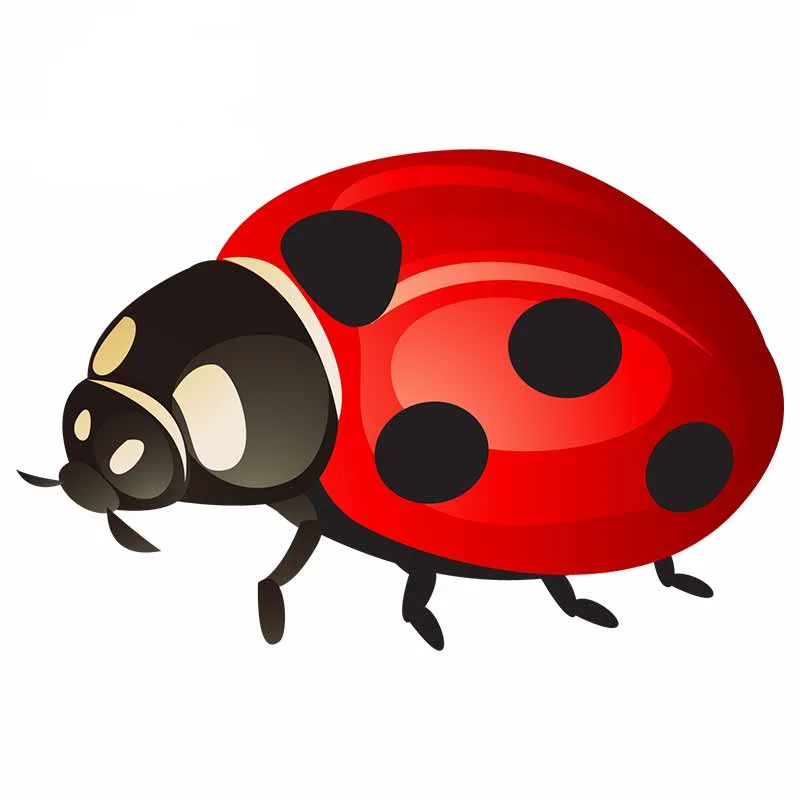 prod_6ad99faf5e1742.85707526.webp