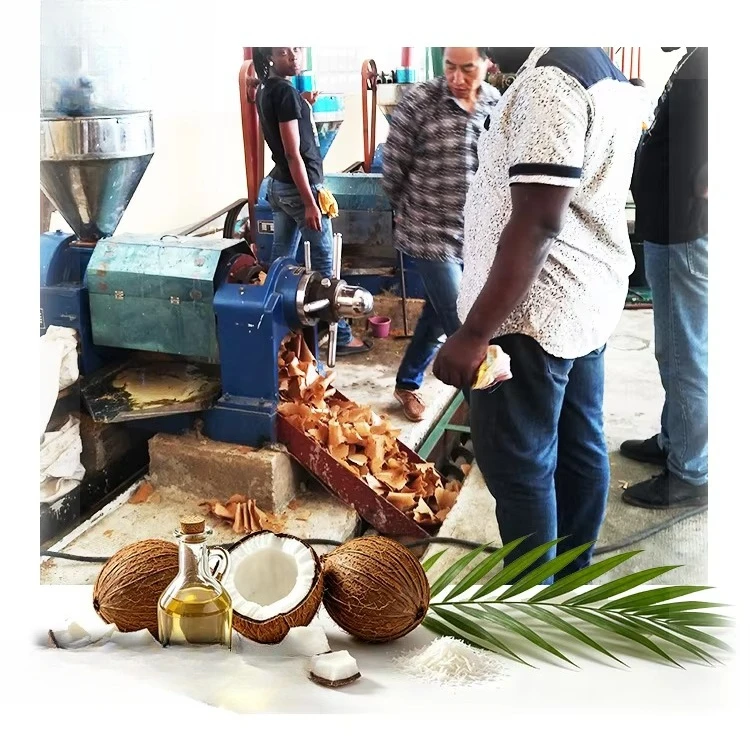 Automatic Coconut Oil Pressing Line Screw Press Machine Cold Hot Pressing 10TPD Oil Press Plant for Plantation Farmers