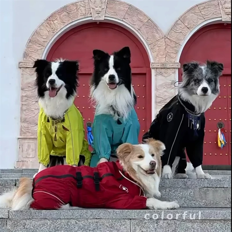 prod_6ad9ab4d95d5c0.12373066.webp