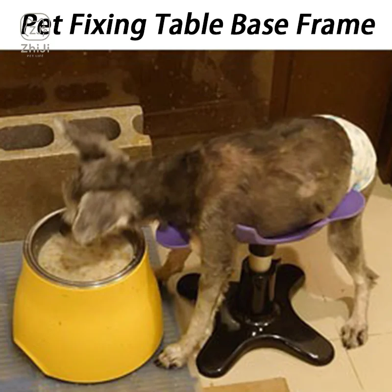 prod_6ad9c757b9dbe1.64906504.webp