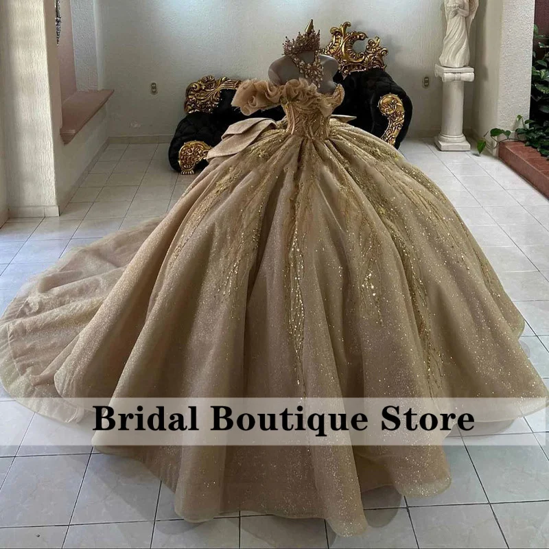 Delicate Quinceanera Dress for Woman with One-Shoulder Appliques Large Bow Vestidos De 15 Quinceanera Customized