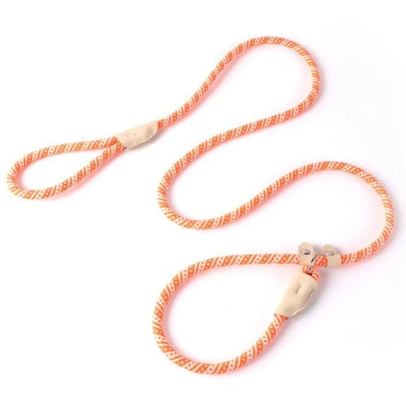 Dog Leash P Chain Collar Leashes Dogs Chain Anti Loss P Rope Collars for Dog Walking Dogs Leash Puppy Training Rope Pet Supplies