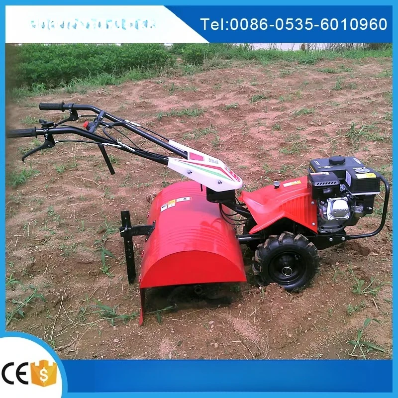 prod_6ad9dccadcac01.47818748.webp