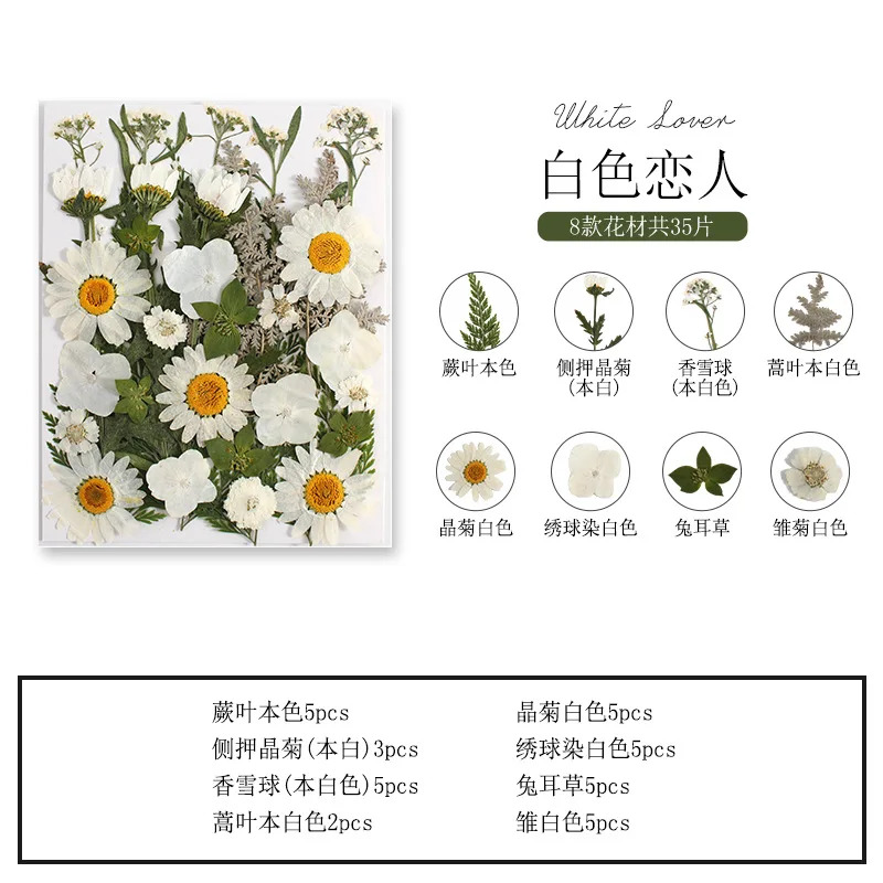 prod_6ada19570ca0b8.14700588.webp