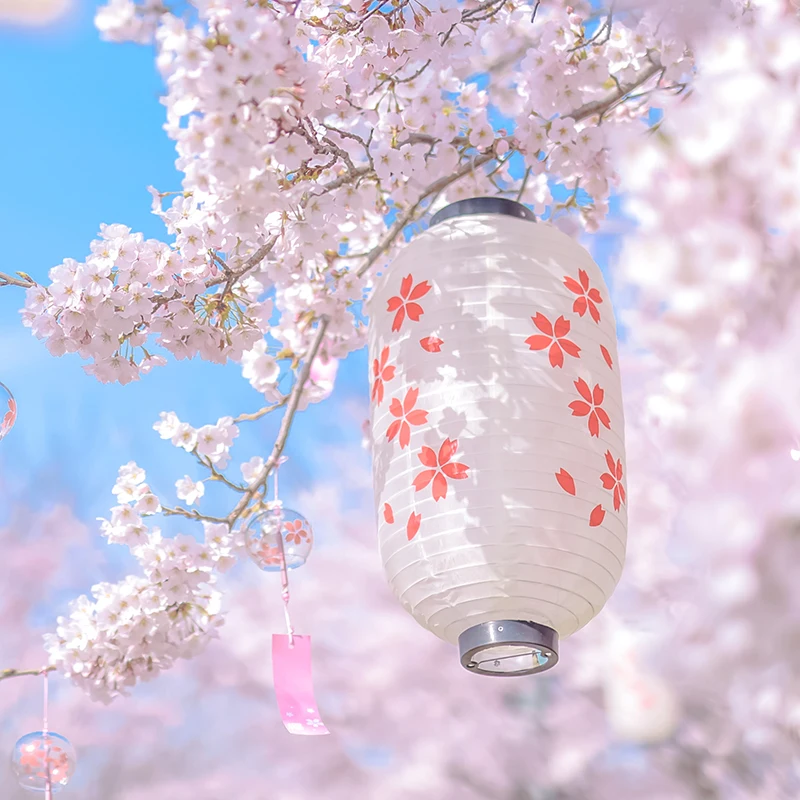 prod_6ada19c9a90d53.38407095.webp
