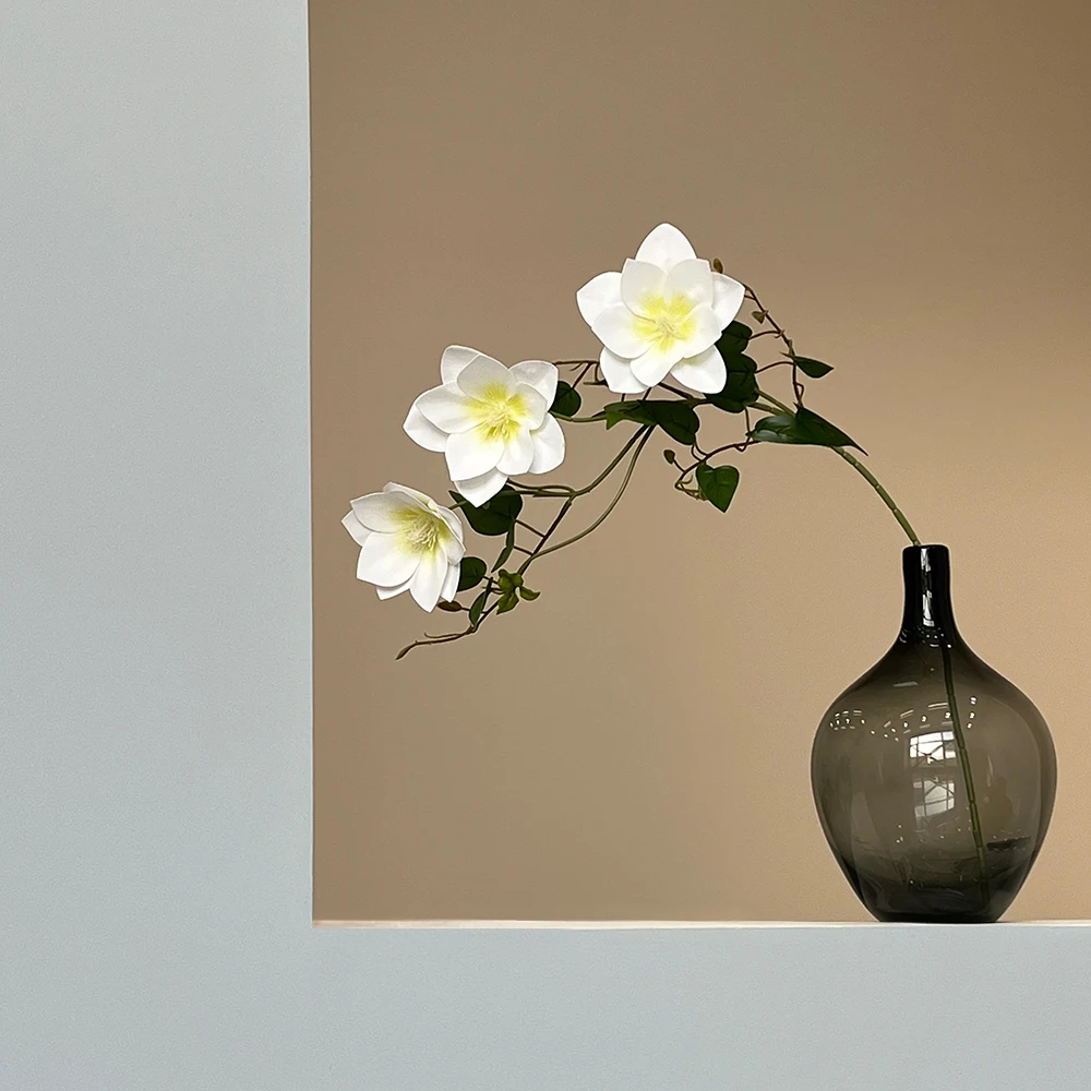 prod_6ada2651a8b2b2.85458831.webp