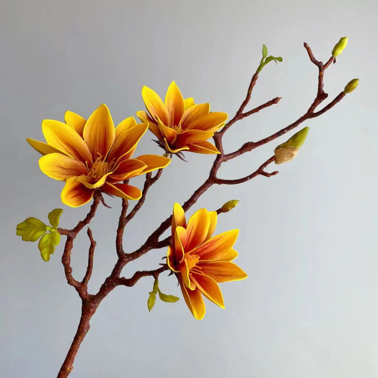 prod_6ada26701be2a9.20012485.webp