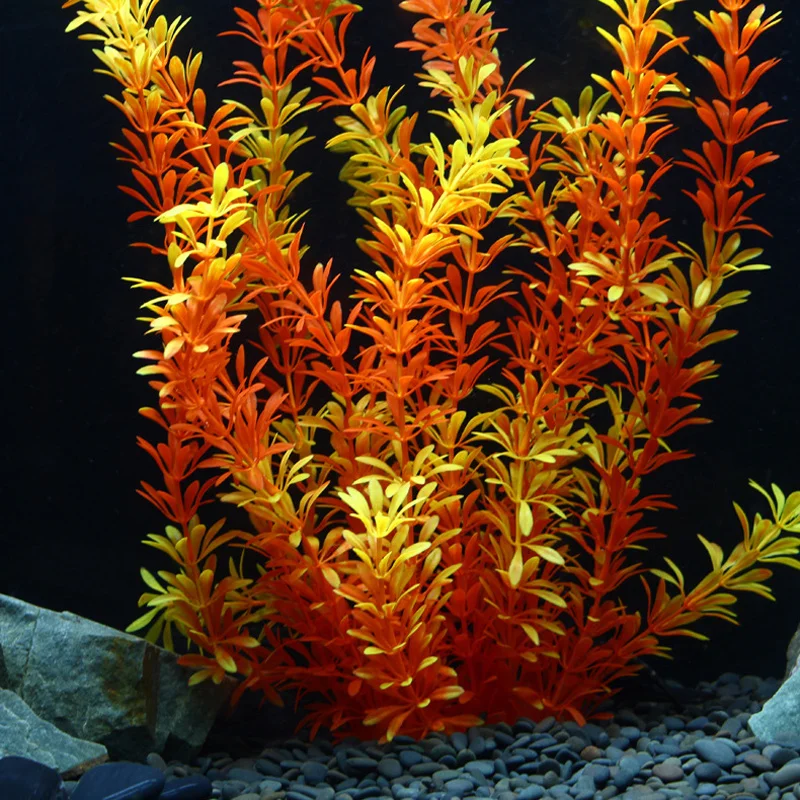 prod_6ada342b803606.73308665.webp
