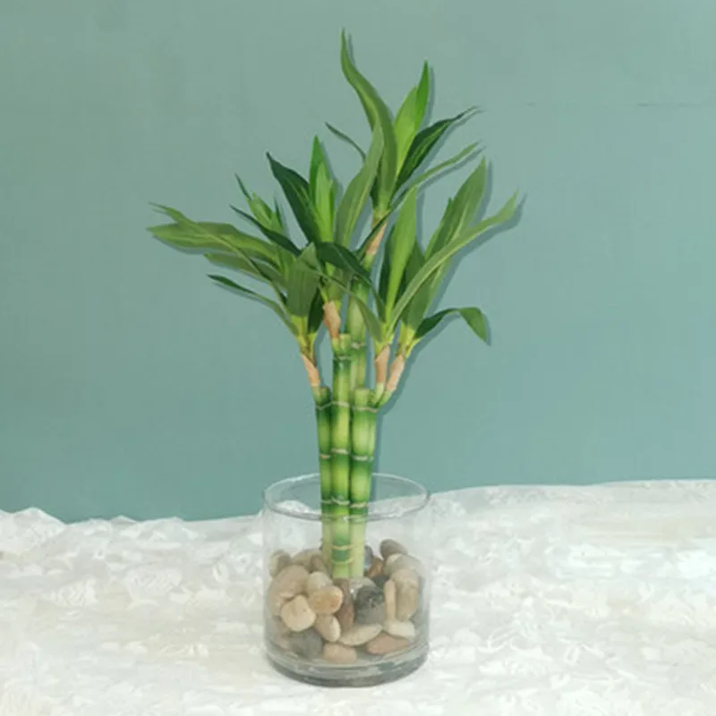 New 40cm Artificial Lucky Bamboo Succulent Fake Plant Flower Green Potted Garden Outdoor Dining Table Fish Tank Home Decoration