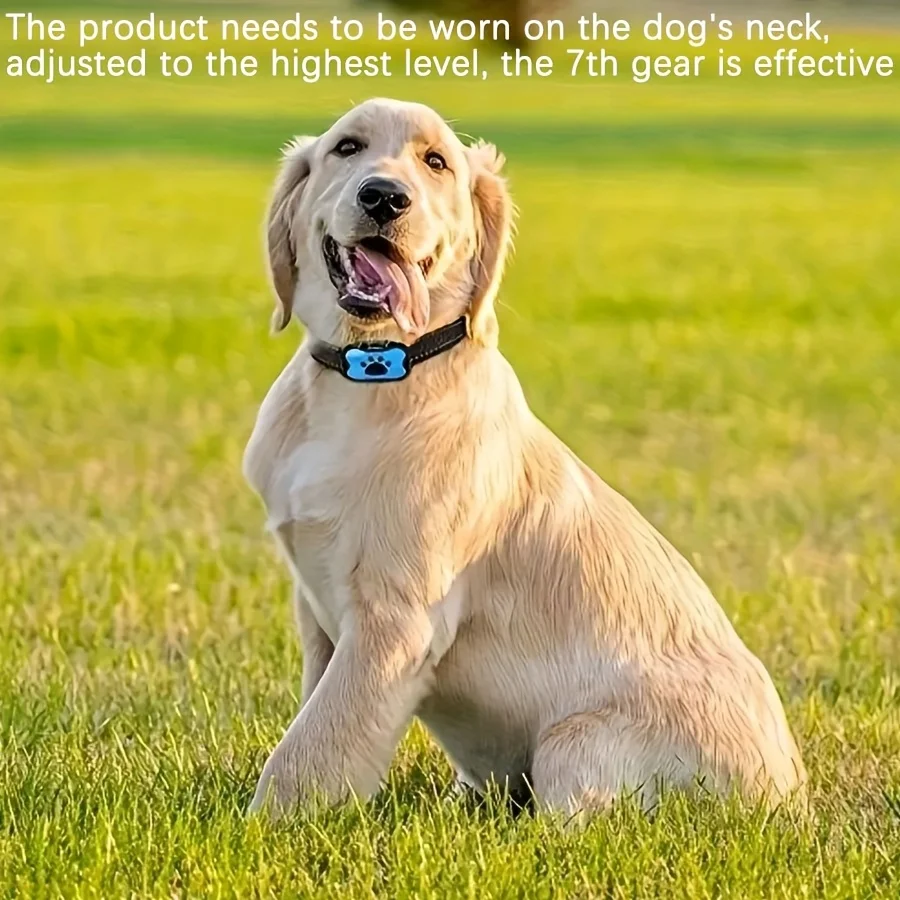 prod_6ada38dda49492.73882173.webp