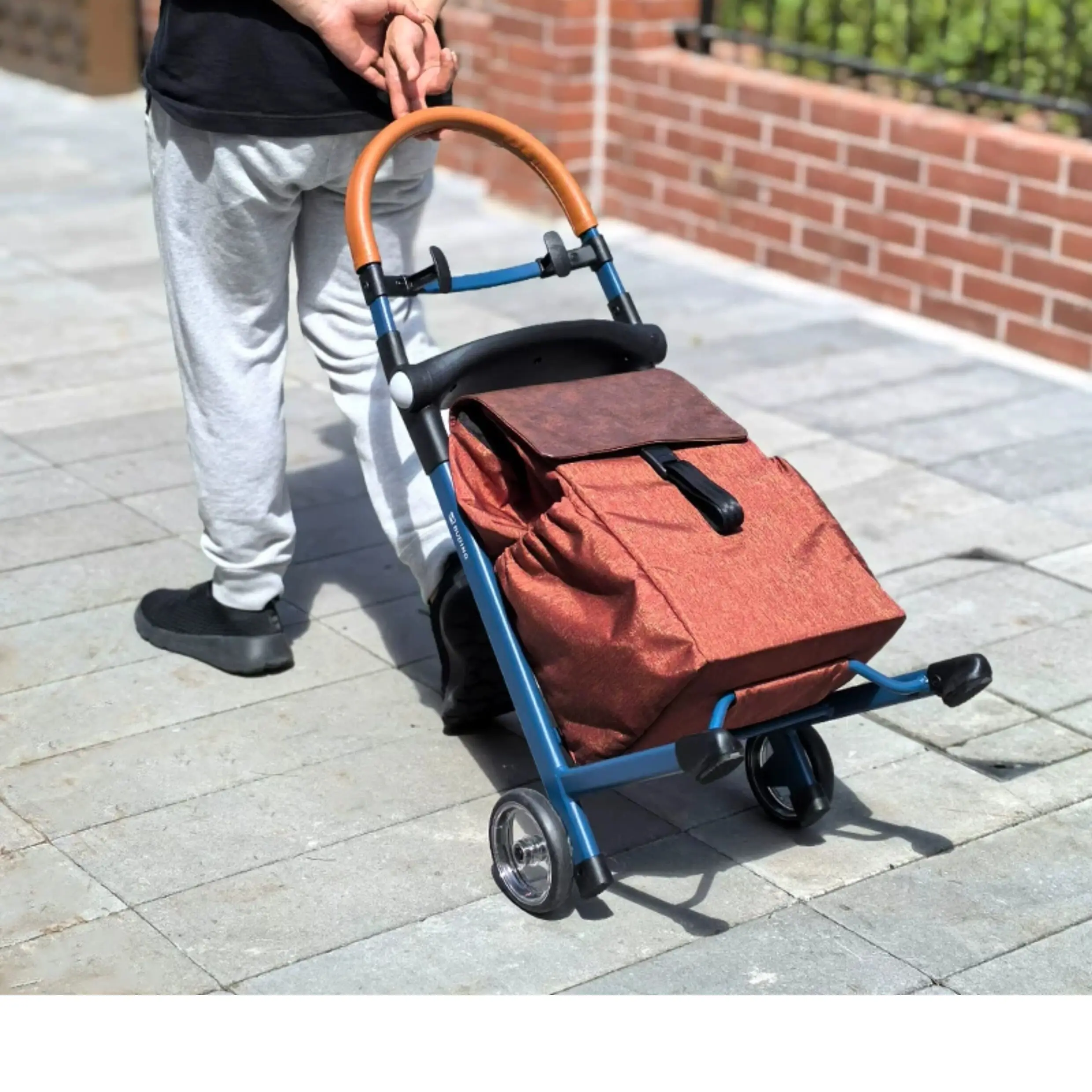 Lightweight Foldable Aluminum Shopping Cart for Elderly Sit and Queue Portable High Appearance