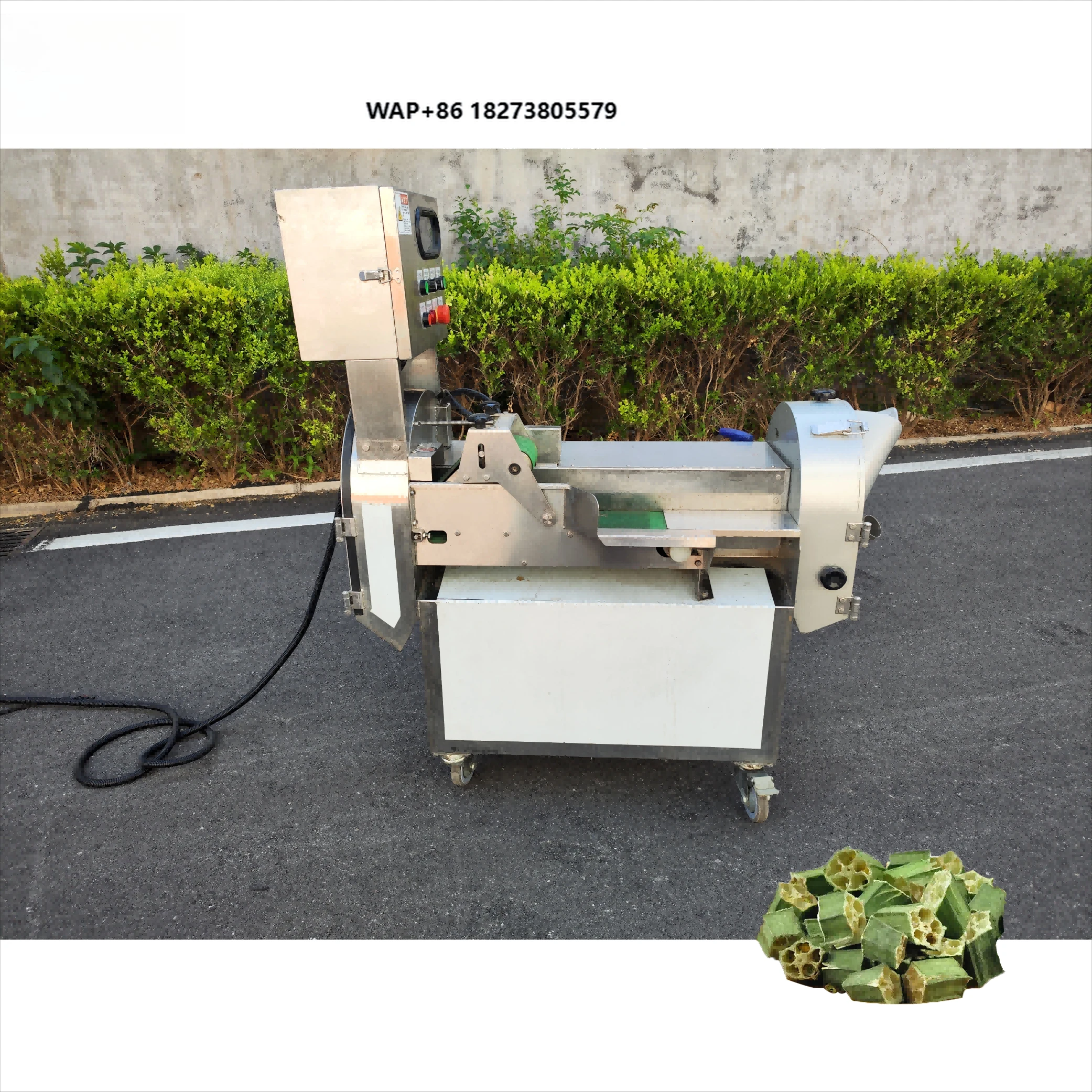 High-efficiency Small Commercial Electric Engine Lemon & Vegetable Potato Slicer Multi-functional Fruit Processing Machine