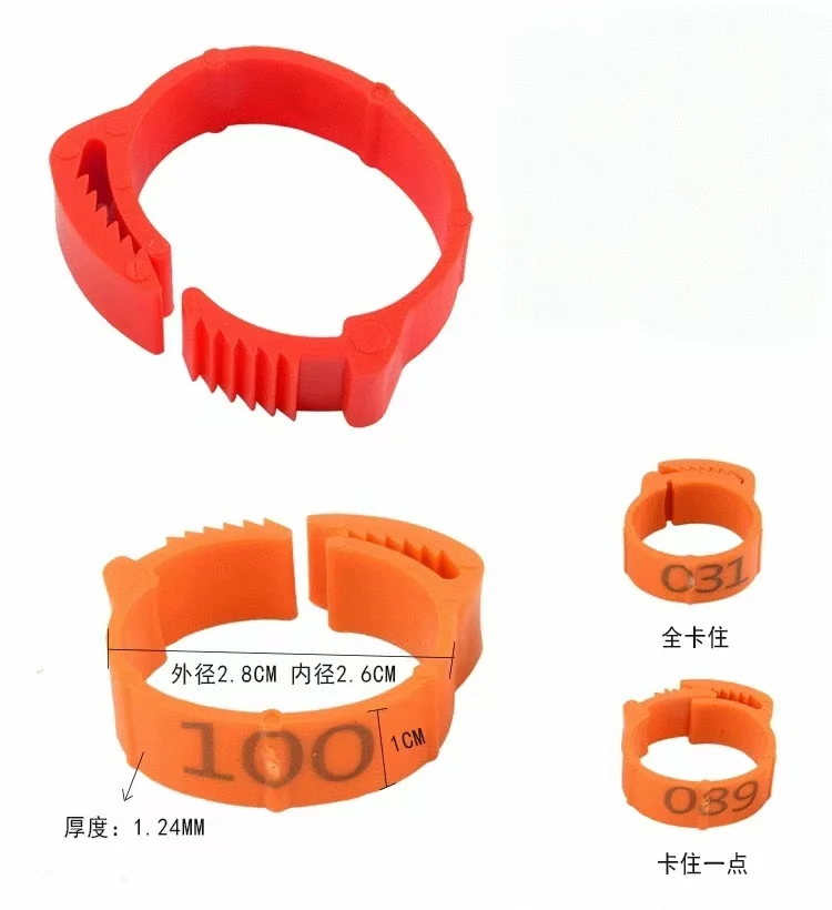prod_6ada8fc017cd03.64696018.webp