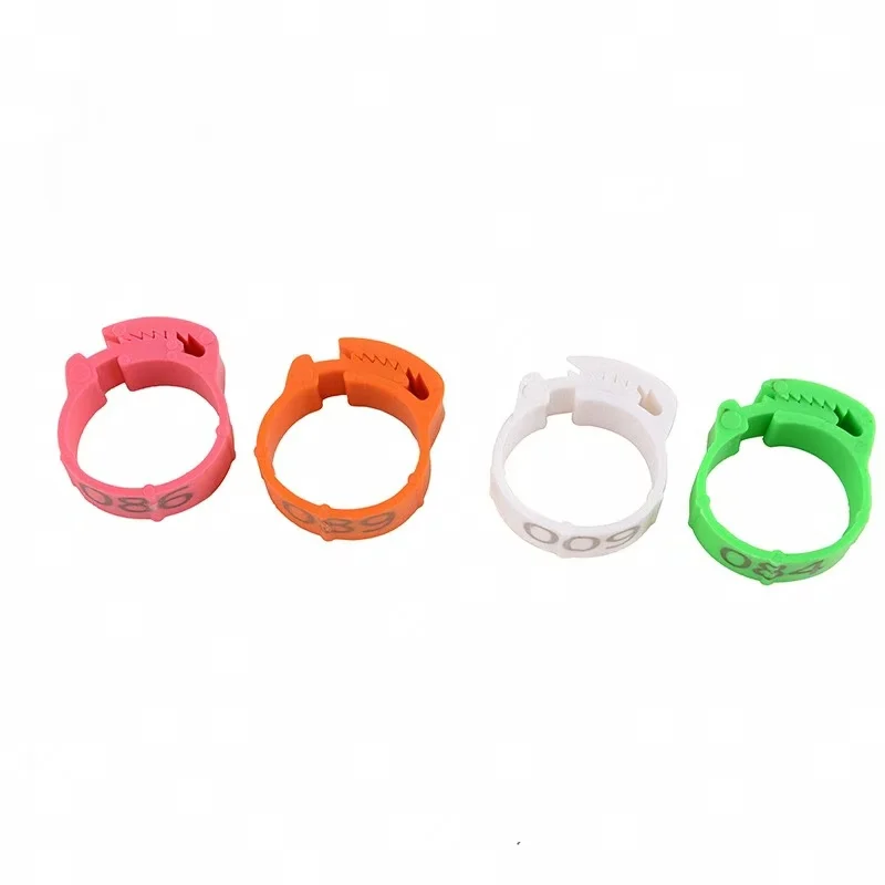 prod_6ada8fc06c2f89.59260837.webp