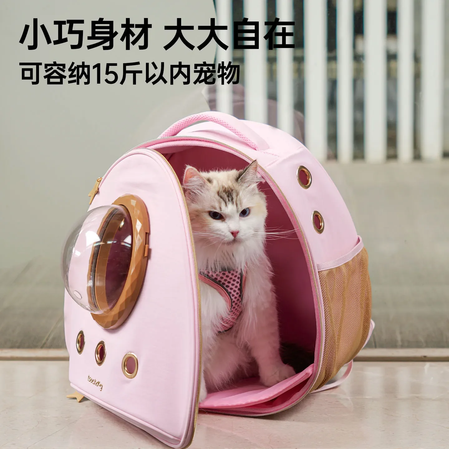 prod_6adb0f8283f839.86924660.webp