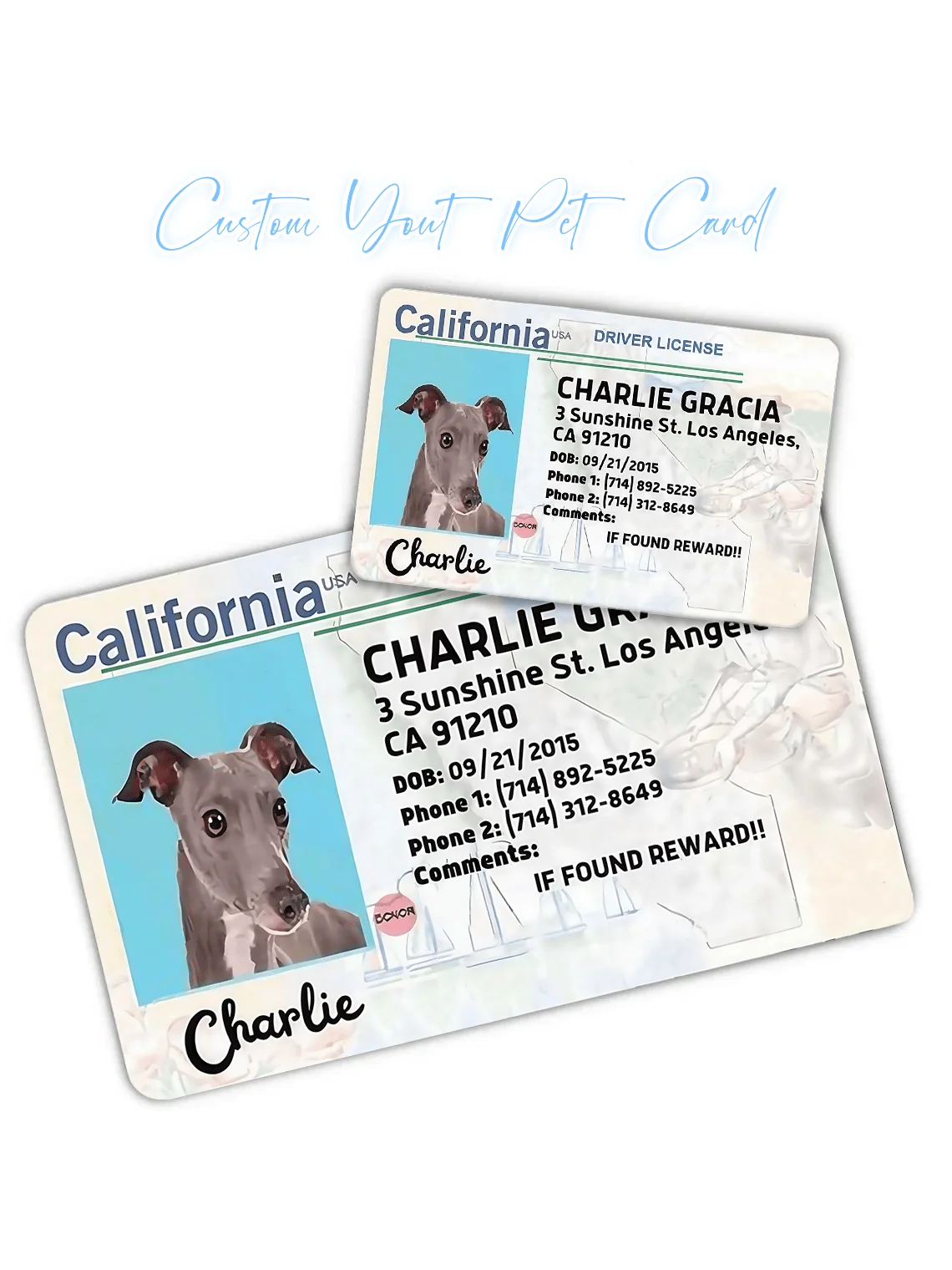 Custom Pet Dog Card, PVC Pet Card, Personalized Pet ID Card, Pet Birthday Gift, Perfect Wallet Pet Card, Gift for Pet