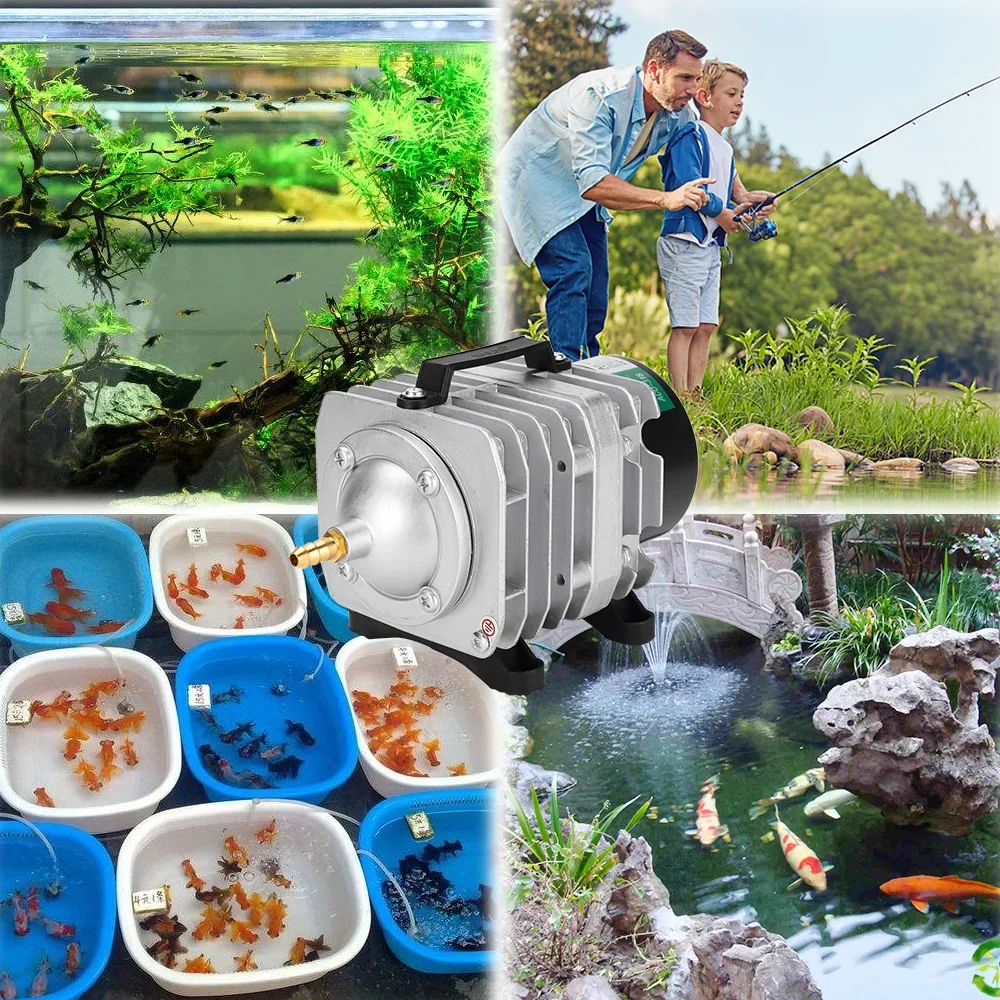 prod_6adba54cbf9950.78193445.webp