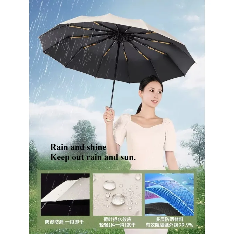 prod_6adbc277cf86e3.09272941.webp