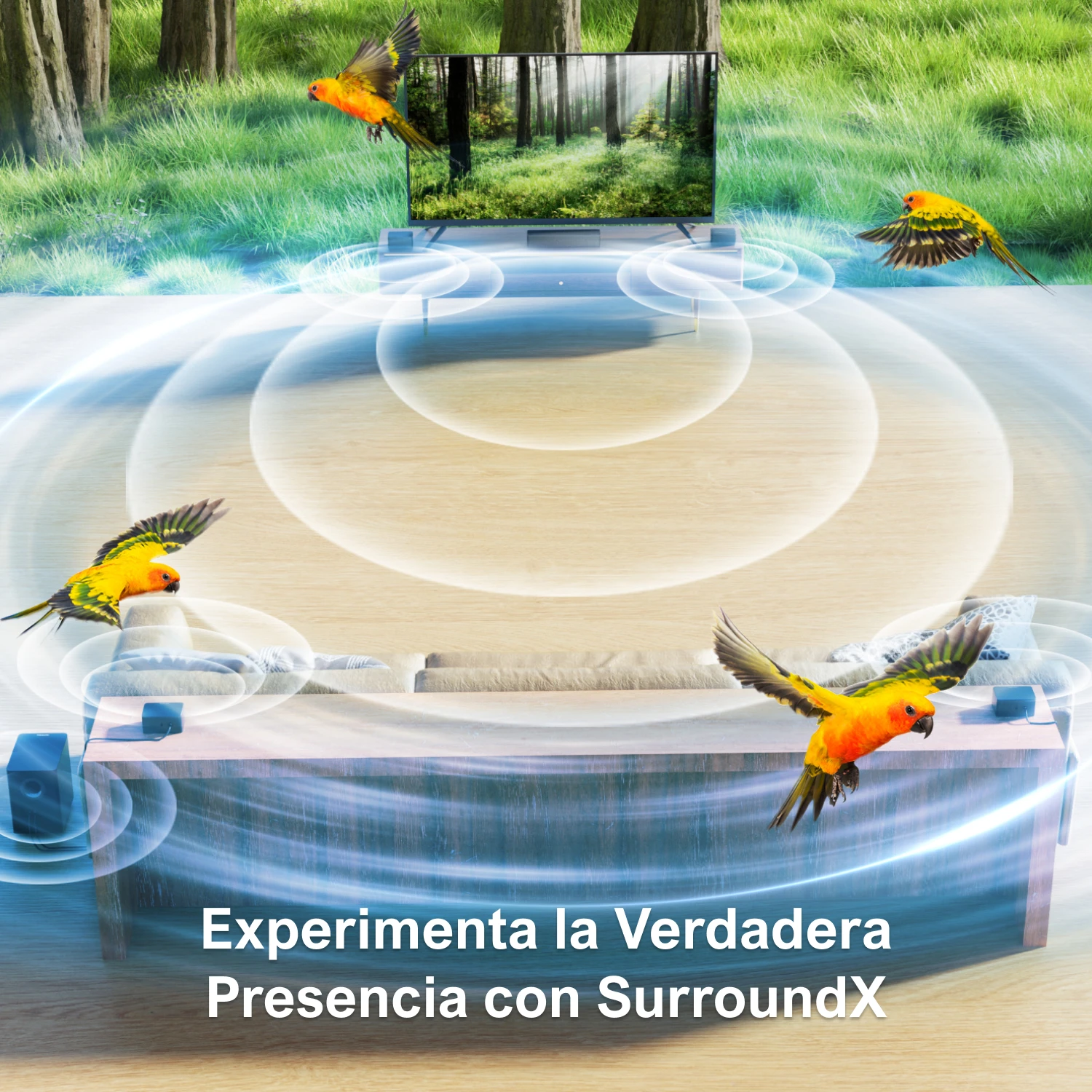 prod_6a9817aadf63b5.10772520.webp