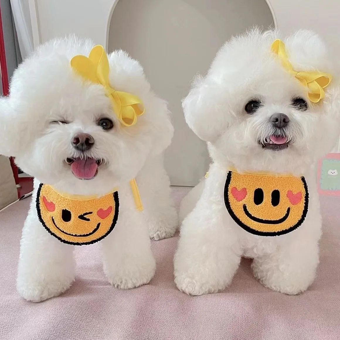 prod_6a98016e60a0e7.59648115.webp
