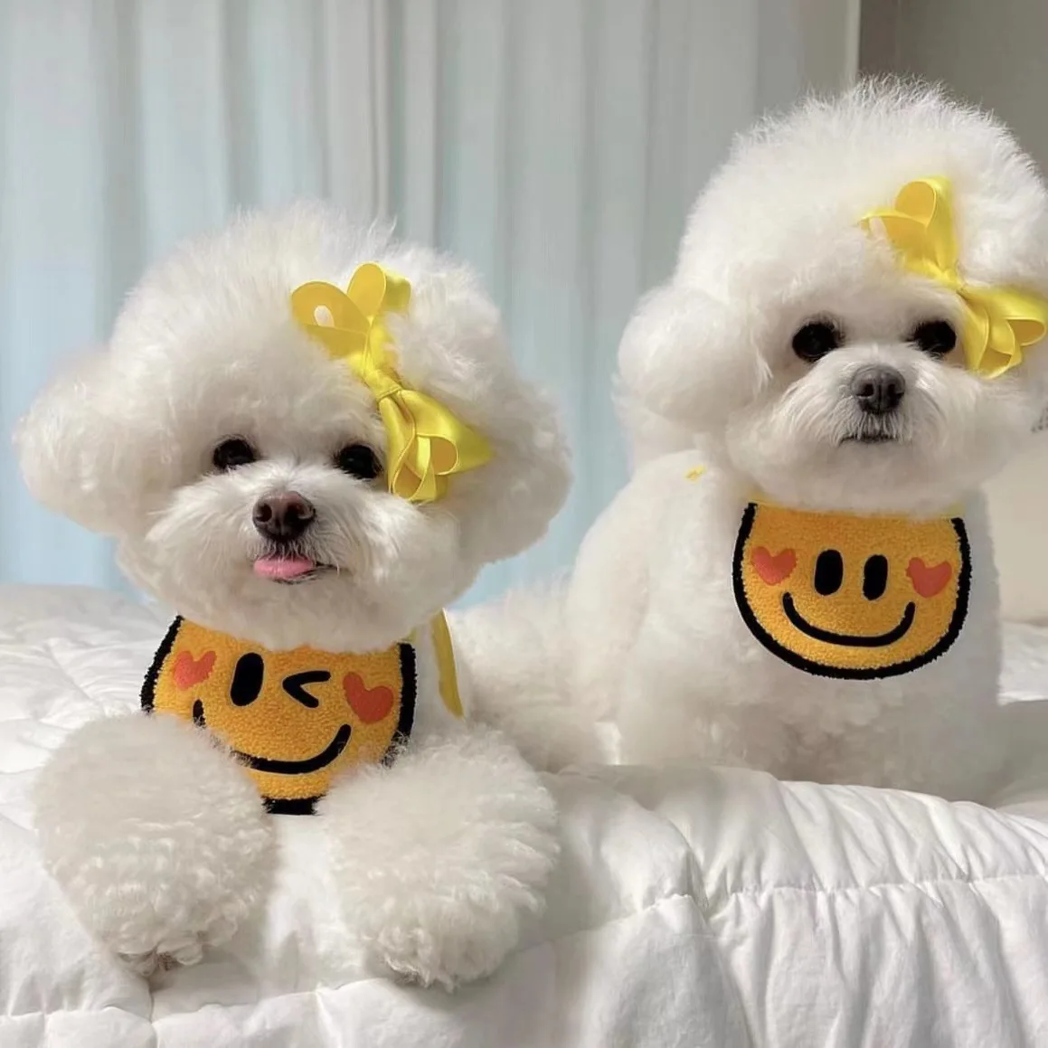 prod_6a98016e997d68.64576540.webp
