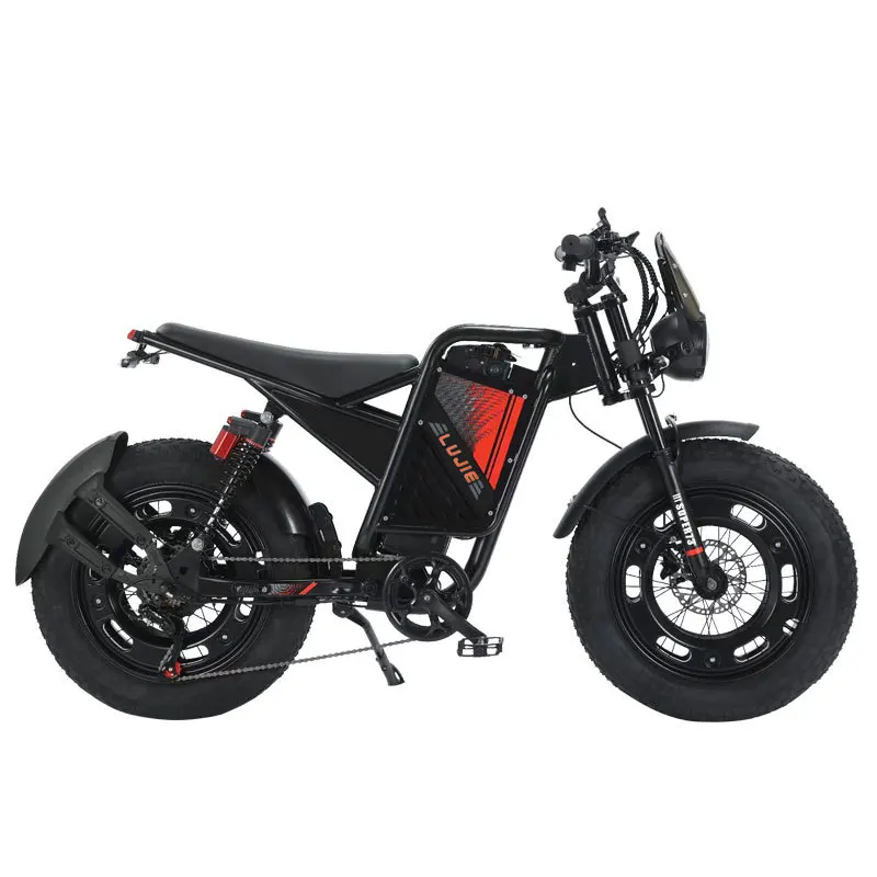 48V Lithium Battery Electric Bike, Wholesale 20 Inch Fat Tire Waterproof Mountain Bike for Adults