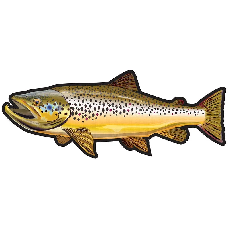 Car Stickers Wild Brown Trout Caravan Accessories Personality, Sticker Products Exterior Parts PVC Stylish, Decoration Cute,