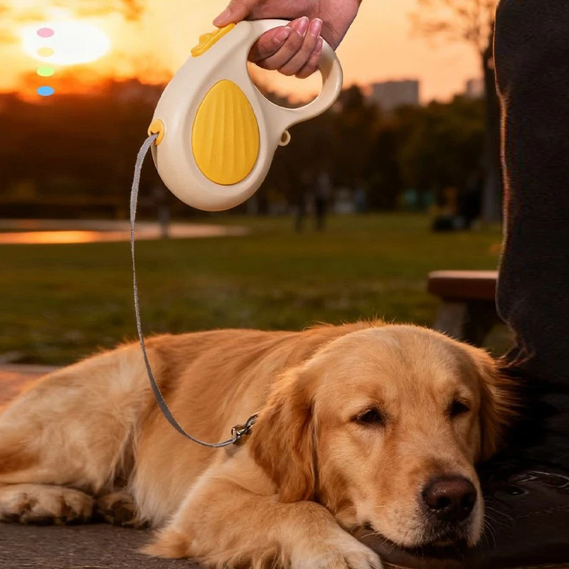 3M Automatic Retractable Dog Leash Dog Chain Accessories Walking Running Reflective Traction Rope Belt Pets Dog lead