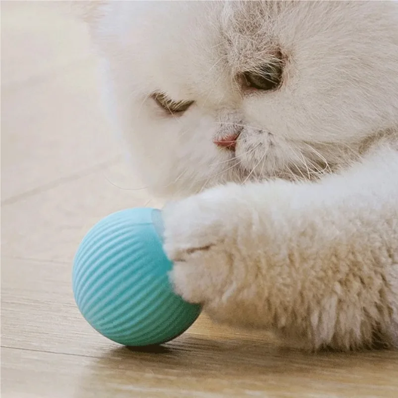 prod_6a980c9897b641.14295340.webp