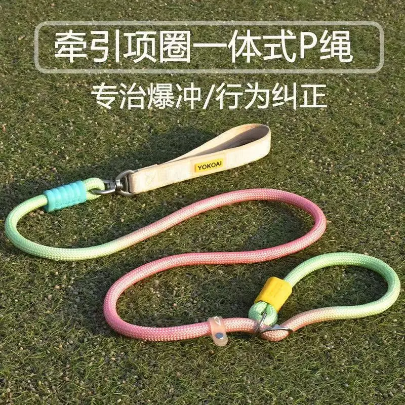 Multi Dog Leash Splitter Adjustable Pet Leash Coupler with Detachable Leads for Walking 2 3 4 Dogs Outdoor