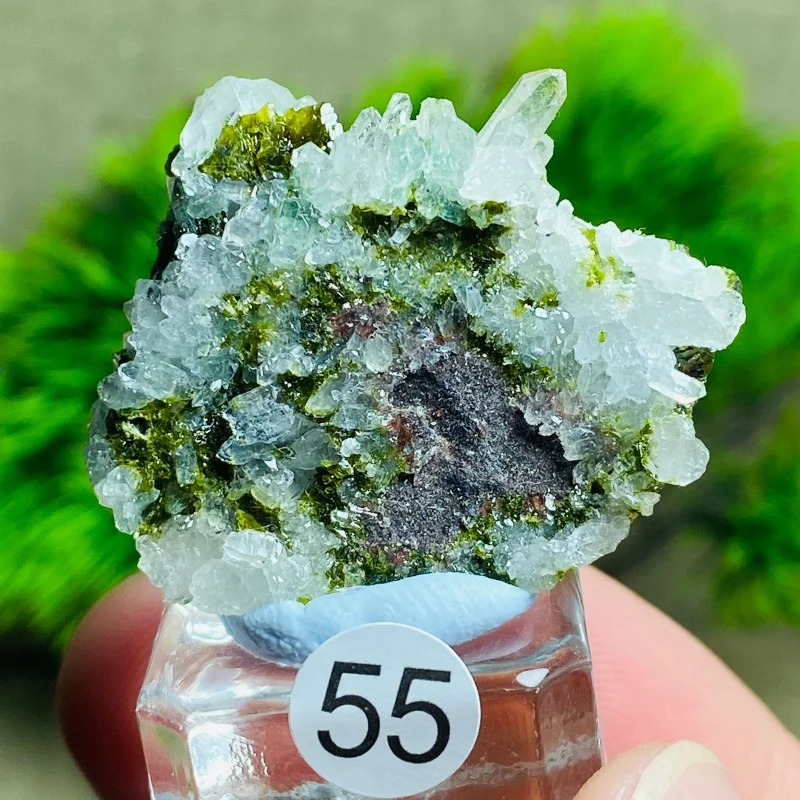 Rare Natural Raw Garden Crystal Epidote Symbiotic Mineral Specimens Healing Quartz Stones Rock Gemstone for Home Decoration