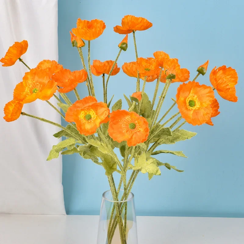prod_6adc3b1145ab65.50628245.webp