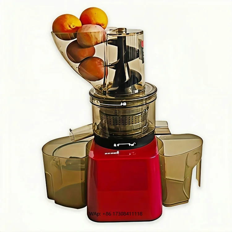Portable juicer for fresh fruit and vegetable juices with a durable and compact design