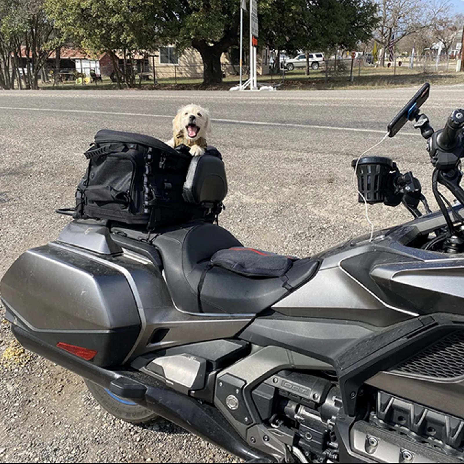Universal Motorcycle Dog Cat Pet Carrier Travelling Passenger Seat Luggage Rack For Touring Trike Model YAMAHA Kawasaki