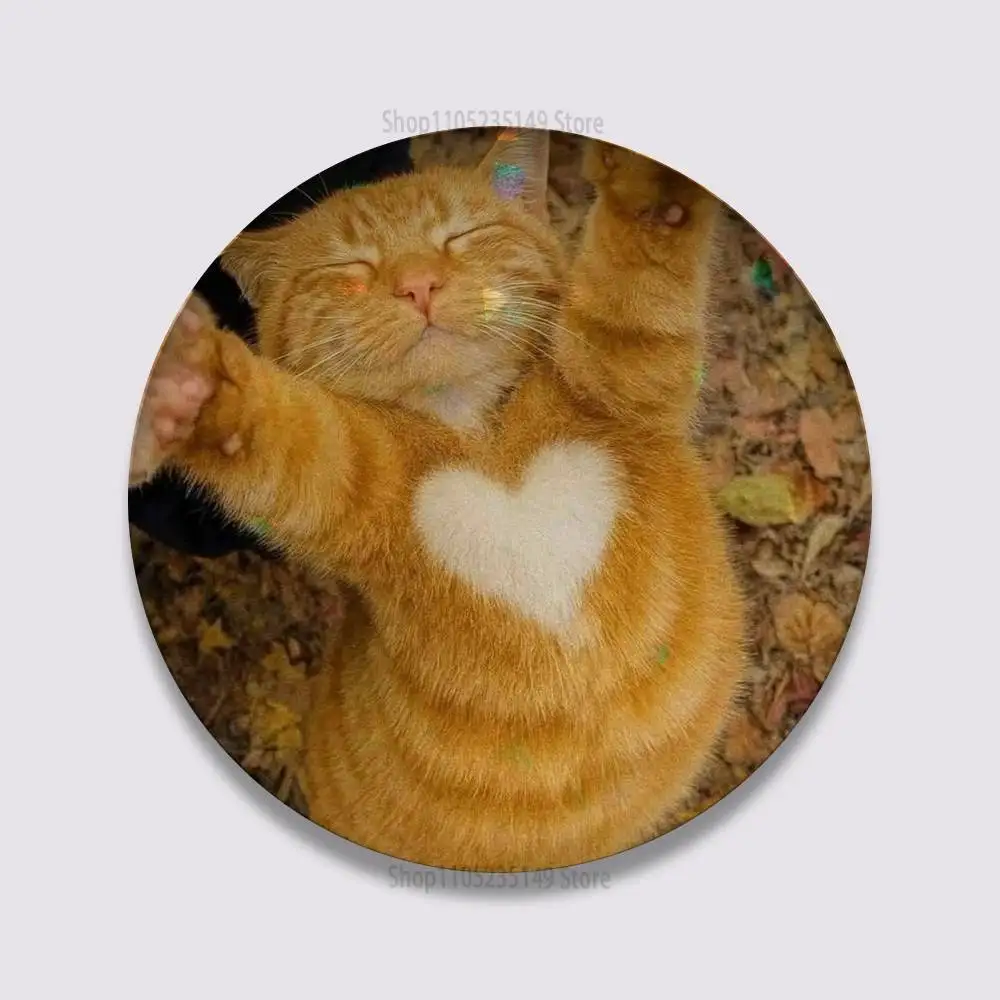 prod_6adc87200022b7.54147561.webp