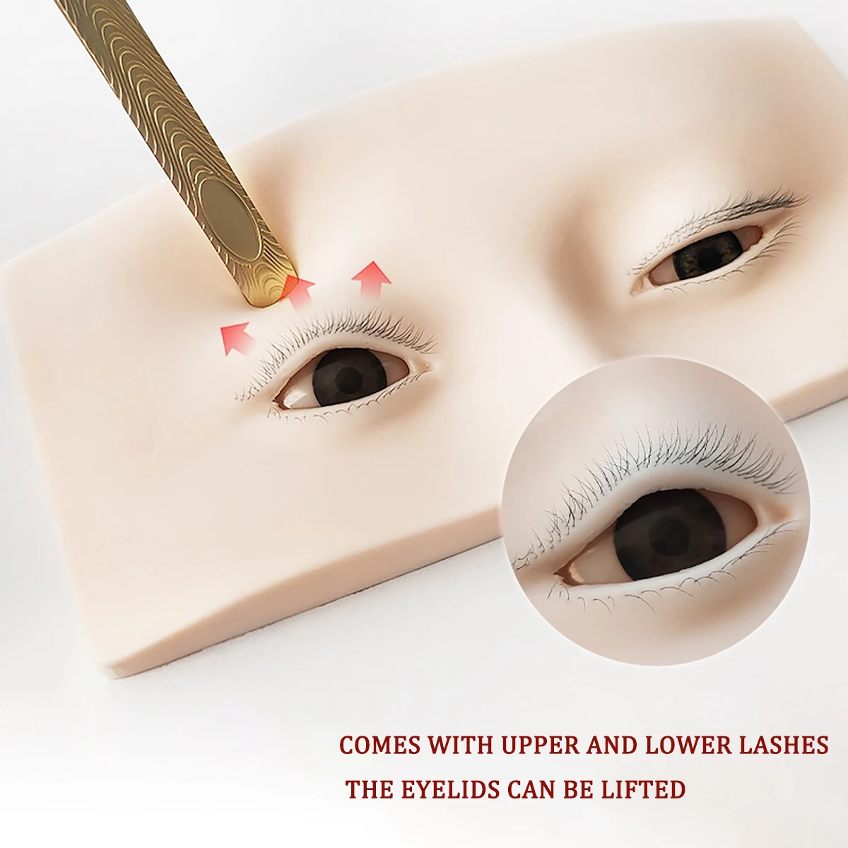 Korean Style False Eyelash Mannequin Eyes Flat Doll Head Practice Tool for Makeup Beginners Women's Beauty Care Accessory