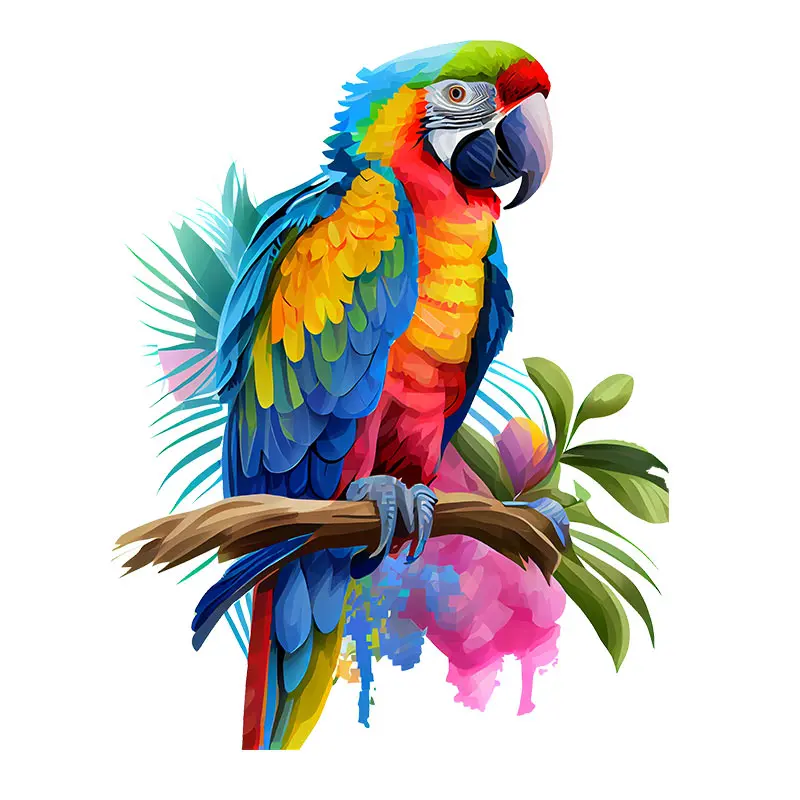 prod_6add17b025d585.86417166.webp