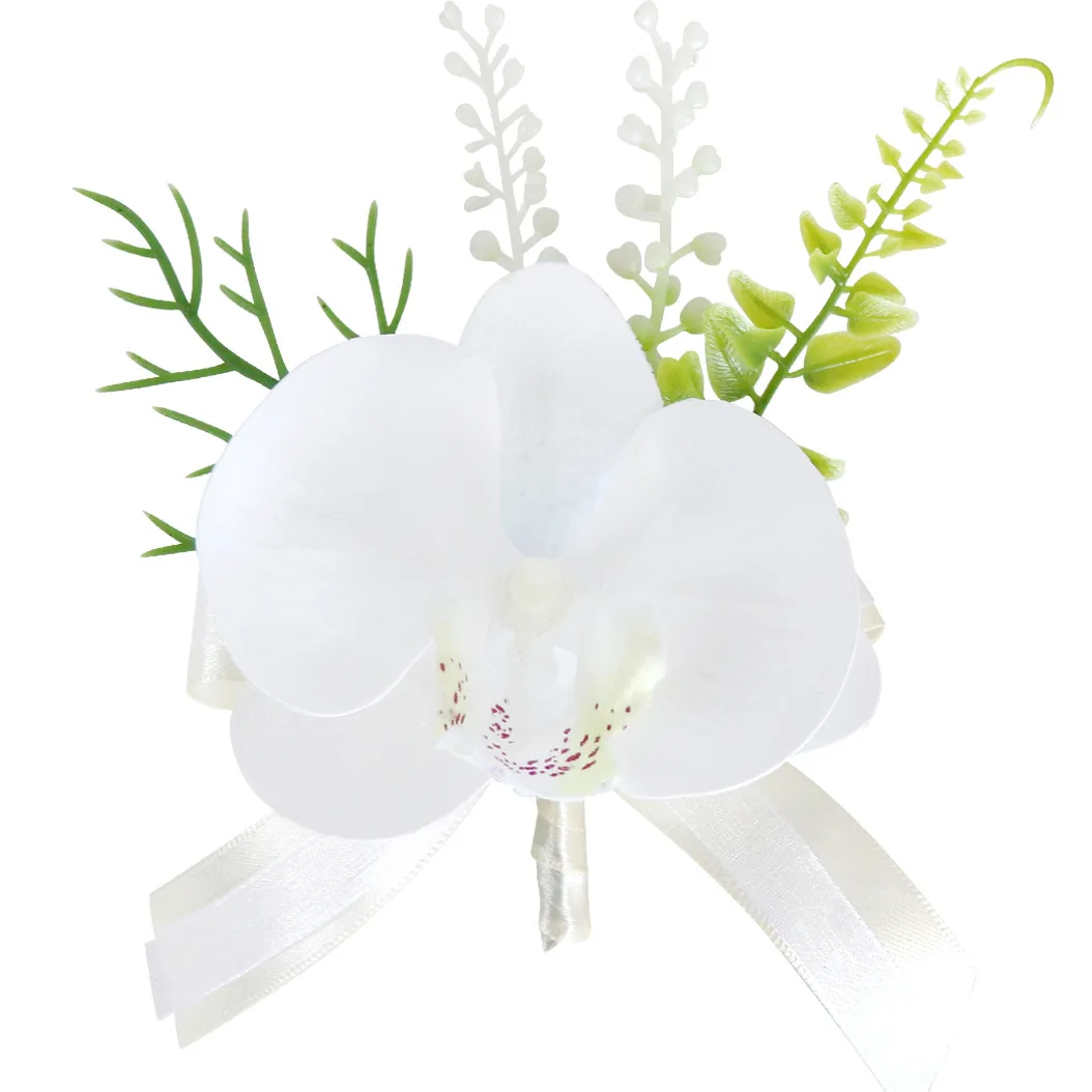 prod_6adda5151fb7d6.82216561.webp