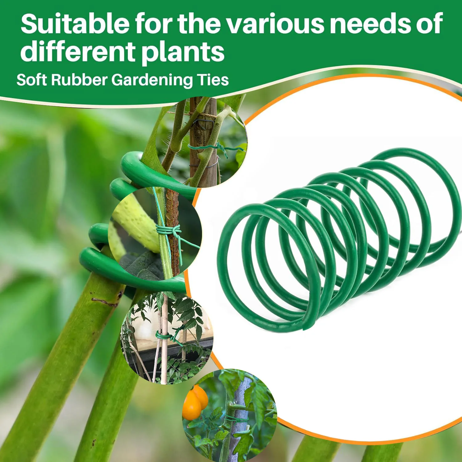 prod_6ade2967889f46.62529641.webp