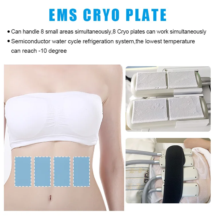 Maxlipo Body Contouring Beauty Machine 8 Independent Cooling Plates Cryo EMS Dual Mode Water Circulation Cooling 8 Inch Touch