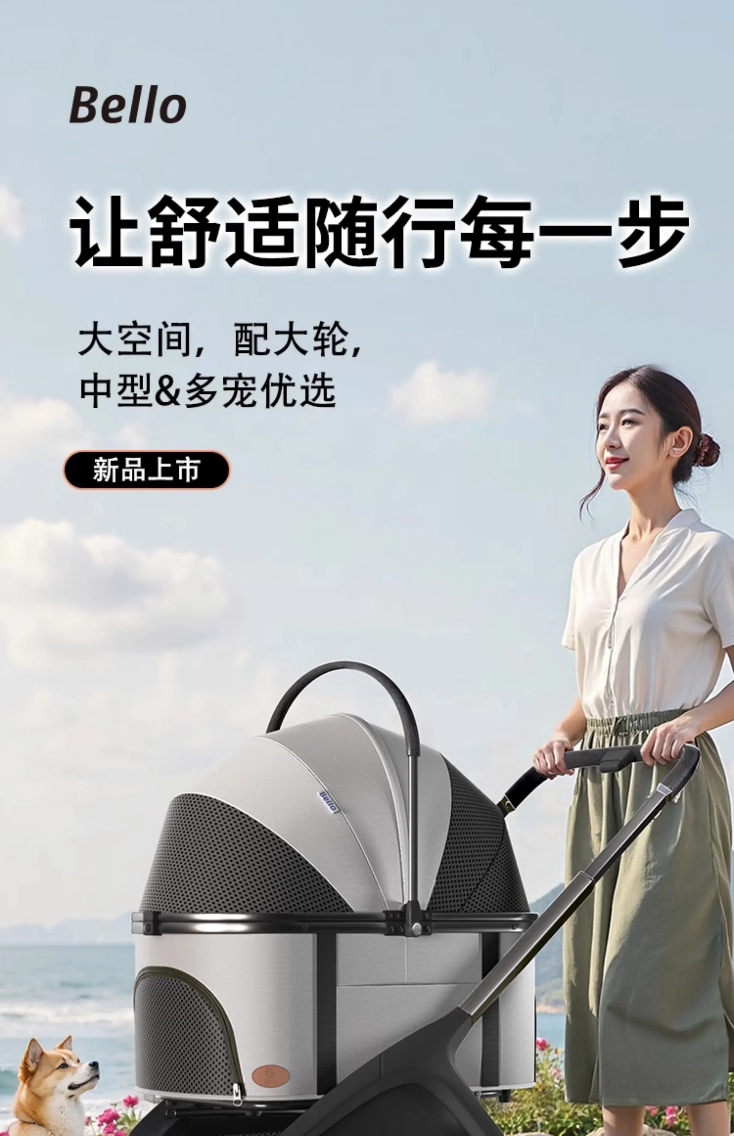prod_6a9822f6238b24.40817647.webp