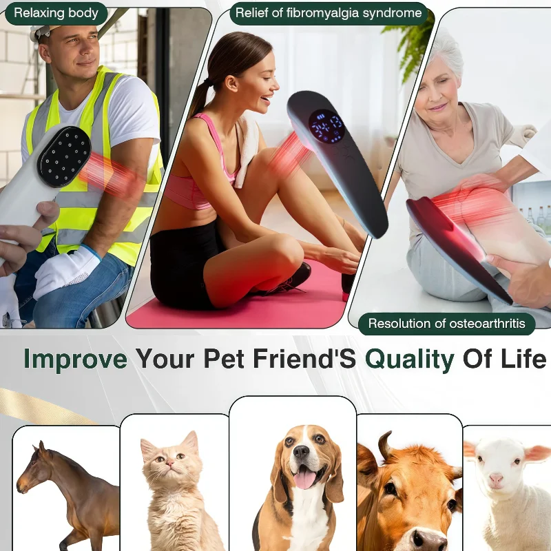 prod_6ae1c2d1be6b17.57573014.webp