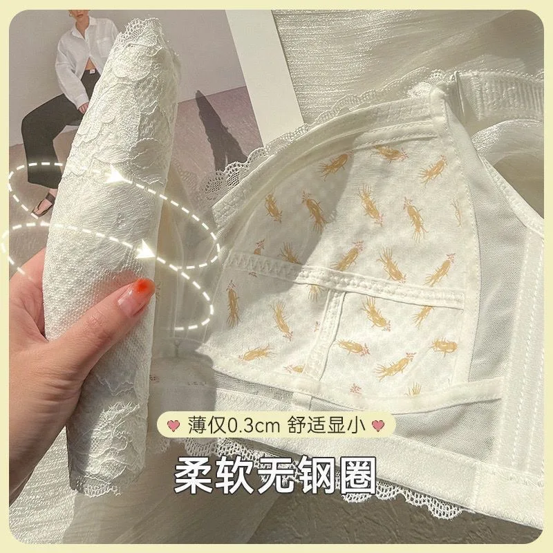 prod_6ae24cb9079b67.42682392.webp