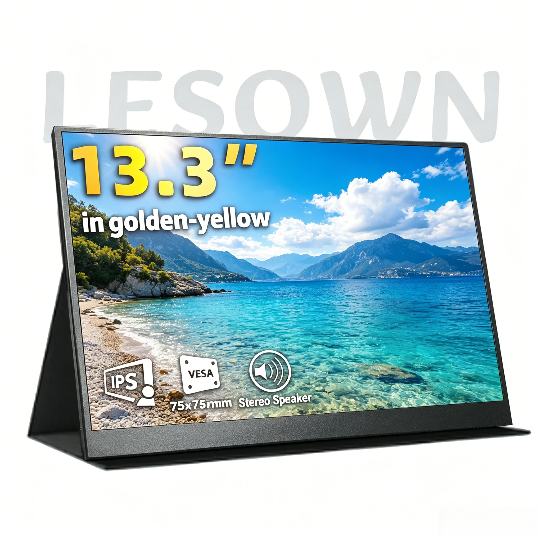 LESOWN 16:10 WQXGA Compact Display 13.3