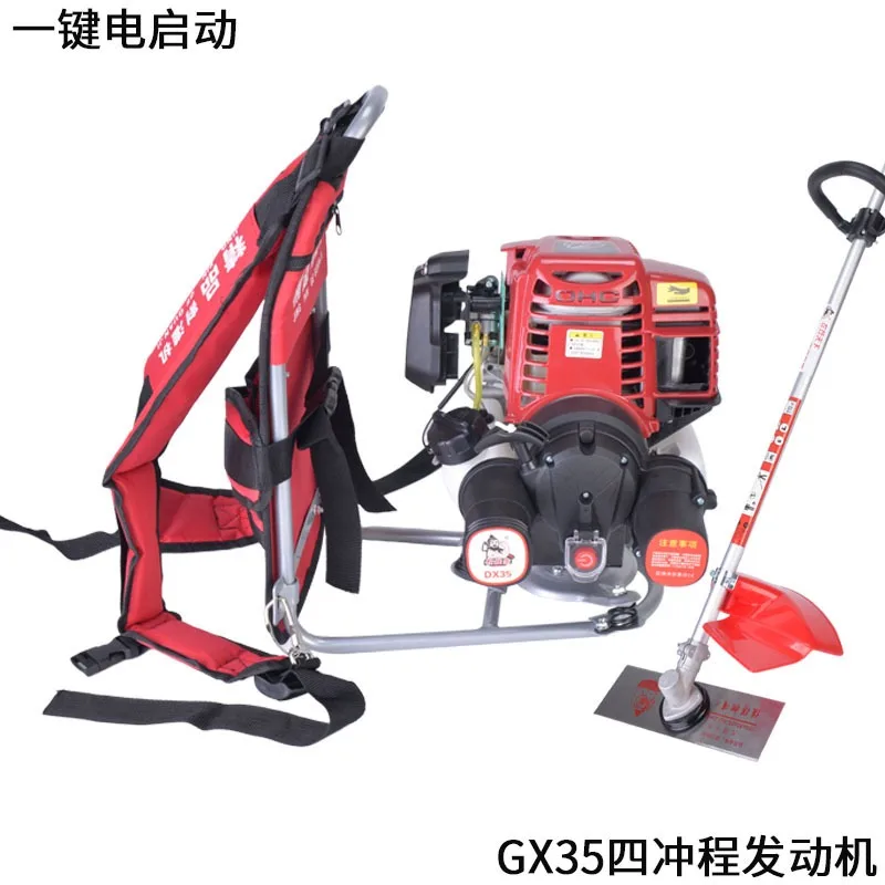 prod_6a985cf2c9c500.88743496.webp