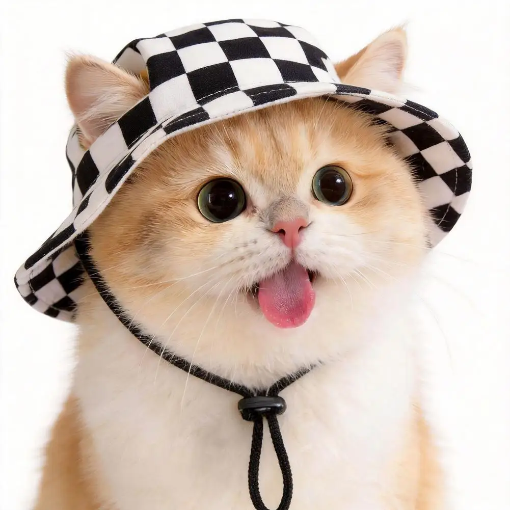 prod_6a9877cab12a83.38165943.webp